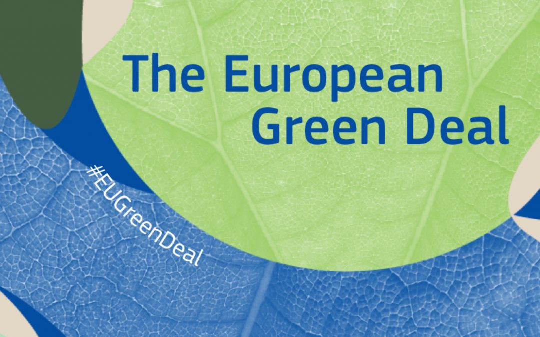 Revolución verde europea: tasas al carbono y el fin de la venta de coches de combustión en 2035
